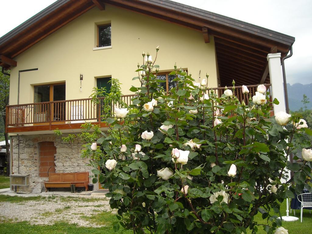 Agriturismo Il Girasole Feltre Dış mekan fotoğraf