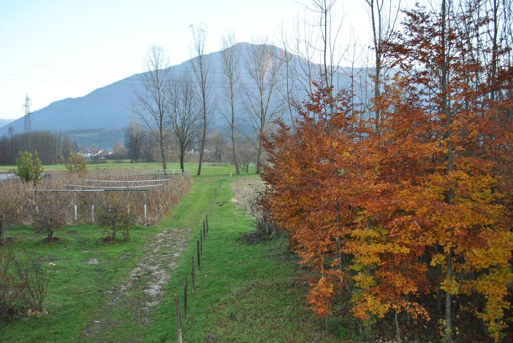 Agriturismo Il Girasole Feltre Dış mekan fotoğraf