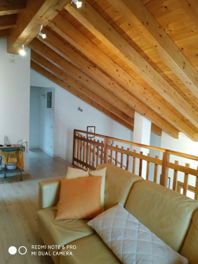 Agriturismo Il Girasole Feltre Dış mekan fotoğraf