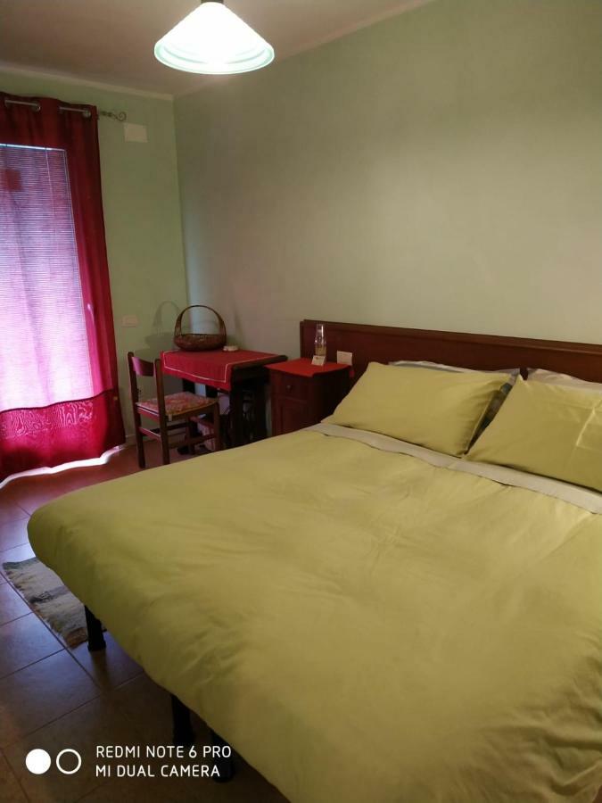 Agriturismo Il Girasole Feltre Dış mekan fotoğraf